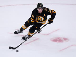 VIDEO Skrat po vypadnutí z play-off: Bostonská hviezda schytá dlhý dištanc po nechutnej sekere
