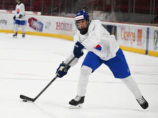 VIDEO Fantastický výkon okorenený gólmi: Draftovaný Goljer sa stal hviezdou, Tomík a Karšay nezaostali