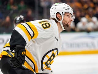 Nepríjemná správa pred OH: Česká hviezda sa zranila, Boston prišiel o ďalšieho kľúčového centra