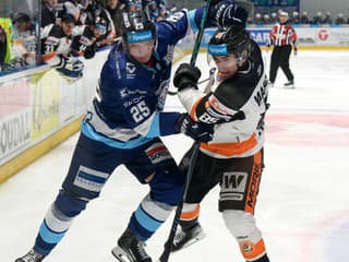 Favorizovaná Nitra opäť s prehrou: Domáci Michalovčania zdolali súpera a vedú v sérii