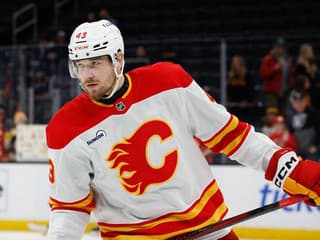 VIDEO Česká provokácia! V súboji dvoch Slovákov išlo od hnevu roztrhúť najväčšieho nerváka v NHL