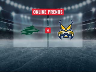 Vlci Žilina – HK Spišská Nová Ves: Online prenos z 13. kola Tipsport ligy