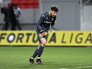 Nemecko vymenil za Česko: Slovenský brankár posilnil popredný klub