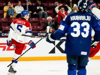 VIDEO Spoluhráči boli v šoku a nechápali, čo sa stalo: Jiříčkov gól obletel celý hokejový svet