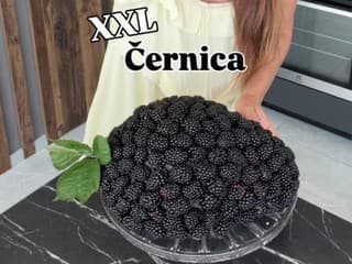 Torta v tvare XXL černice! Ktorá influencerka pripravila takéto veľdielo?
