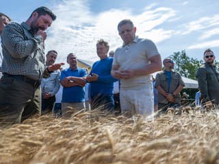Žatva sa začala skôr, dôvodom je extrémne sucho. Bude to mať negatívny vplyv na celkové výsledky, tvrdí Fico