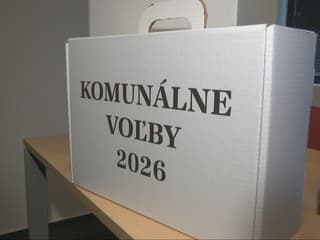 Dve urny, dve farby lístkov a obálok a komplikované elektronické doklady. Čo by ste mali vedieť pred volebnou sobotou?