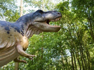 Vedci odhalili tajomstvo Tyrannosaura rexa. V jednej veci bol človeku podobnejší, než sme si mysleli