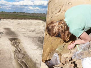 FOTO: Prelomový objav na Slovensku. Archeológovia našli pri Šuranoch niečo nevídané