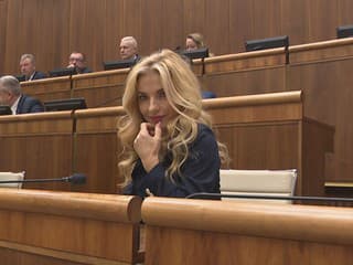 Šimkovičová chce zaviesť zmeny. Plánuje predložiť úpravu, aby sa z peňazí na kultúru nefinancovali pochody