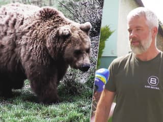 Koniec problémového medveďa na Liptove. Šelmu, ktorá napadla muža pred domom, eliminovali