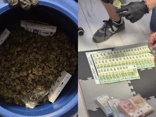 FOTO: Tajná „záhradka“ pri Lučenci. Polícia zaistila desiatky rastlín marihuany aj 13-tisíc eur