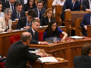 Politické zemetrasenie v Maďarsku. Parlament schválil dodatok o odvolaní prezidenta