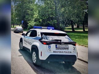 Prázdniny u strýka sa skončili zásahom polície. Po deti si prišiel otec až z Bratislavy