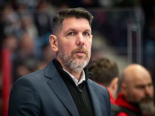 Po tvrdom zákroku upadol do bezvedomia. Zápas českých extraligistov sa predčasne skončil