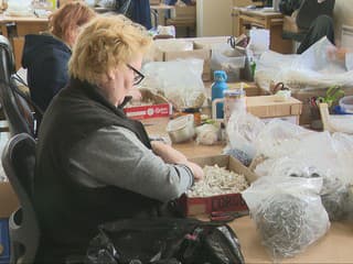 Šok pre sociálny podnik, ktorý dáva prácu invalidom. Štát od nich chce vrátiť desaťtisíce eur