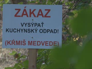 Pravidelne tam vídavajú medvede. Láka ich skládka v Liptovskej Sielnici, obec nevidí riešenie