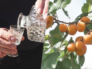Ovocia je tento rok viac než dosť. Páleničiari sa tešia, no liter domácej vyjde poriadne draho