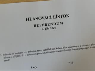 Referendum za milióny. Slováci budú rozhodovať o rente pre Fica či obnove NAKA