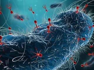Historický míľnik v medicíne: Lekári prvýkrát podali pacientovi vírus navrhnutý umelou inteligenciou