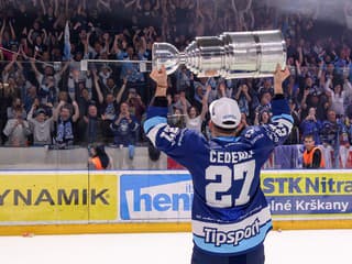 Hospodárenie slovenských hokejových klubov. Majster s rekordným ziskom, Slovan s výraznou stratou