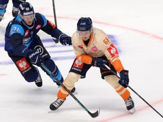 Nitru proti Cehlárikovi a spol. položila slabá efektivita. Corgoni sú v Lige majstrov bez bodu, čaká ich vlaňajší finalista