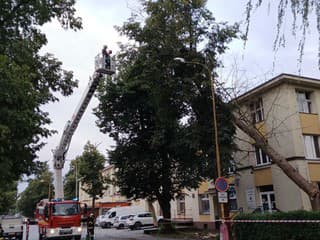 FOTO: Víchrica na Slovensku spôsobila energetickú kalamitu. Bez elektriny zostalo vyše 20-tisíc domácností