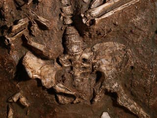 Moderné ženy majú jednu časť tela rovnakú ako neandertálci. U mužov sa evolúcia vydala iným smerom