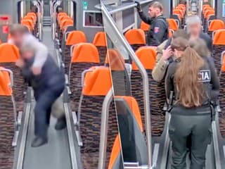 VIDEO: Vlakvedúcu v Martine brutálne napadol opitý cestujúci. Za vlasy ju ťahal tak, že skončila v nemocnici