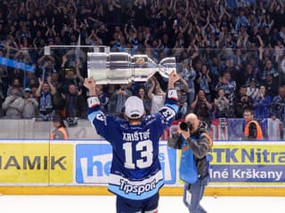 Šéf nitrianskeho hokeja by si to vymenil s Kmotríkovcami. Pod Zoborom zarobia z Ligy majstrov omrvinky