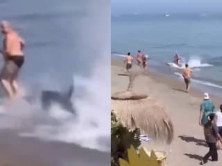 VIDEO: Obrovská ryba sa „valila“ na pláž v obľúbenom španielskom letovisku. Nečakaný návštevník zbudil rozruch