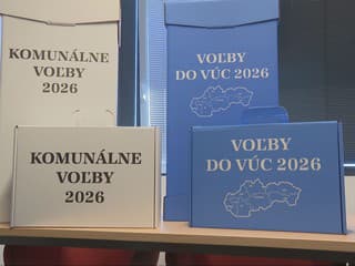 Dvoje voľby, jeden deň. Poradíme vám, na čo si dať v sobotu pozor