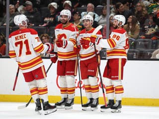 Slovenské galapredstavenie v NHL. Pospíšil i Nemec výrazne prispeli k triumfu Calgary