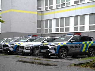 Zásah polície v Žiline prerástol do konfliktu. Jeden z policajtov skončil v nemocnici