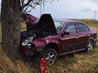 Nafúkal 2,44 promile a čelne vrazil do stromu. Po nehode skončil v cele