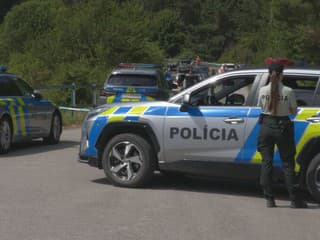 Zabila trojročného syna a predstierala jeho utopenie v Liptovskej Mare. Súd matke sprísnil trest
