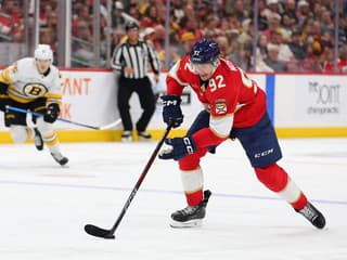 Pred rokom oslavoval zisk Stanley Cupu. Český majster z Pardubíc získal veľkú posilu priamo z NHL