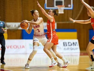 Užovičová sa presúva k Čajkám, reprezentantka mala pôvodne iné plány