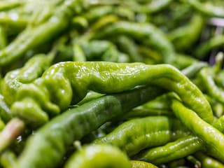 Všetko čo zasadí, vyrastie do obrovských rozmerov. Pestovateľ najdlhšej chilli papričky prezradil tajomstvo úspechu