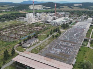 Bukóza kedysi živila celé generácie. Teraz ju chce oživiť nemecký investor