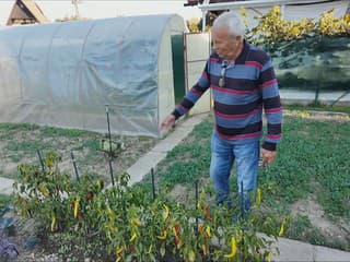 Senior zo Svidníka je príkladom ukážkového záhradkára. Ukázal nám, ako skladuje úrodu