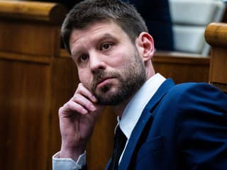 Prieskum: Voľby by vyhralo PS. SNS by skončila tesne pred bránami parlamentu
