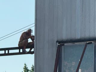 VIDEO: Muž zastavil železničnú dopravu po tom, čo ho vyhodili z vlaku. Vyliezol na stožiar a má zvláštnu požiadavku