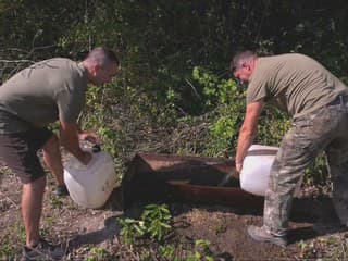 Divá zver prichádza o zdroje vody. Niekde už berú poľovníci situáciu do vlastných rúk