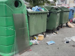 Potkany hodujú medzi odpadkami a niekedy sa pustia aj do áut. Mesto prichádza s riešením dlhoročného problému