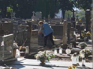 Prišiel upratať hroby svojich blízkych, domov sa už nevrátil. Seniora na cintoríne napadli sršne