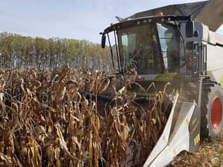 Na naše taniere môžu prísť geneticky upravené paradajky či ryža. Slovensko bolo proti