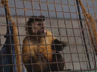 Podobné zariadenie by ste inde na Slovensku hľadali márne. Na sídlisku majú vlastnú zoo