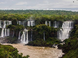 Mali dnes odletieť do Brazílie. Keď sme sa na exotickú pracovnú cestu začali pýtať, envirorezort oznámil, že ju zrušili