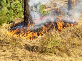 Hasiči varujú pred niečím, čo robia robia mnohí Slováci. Môže sa to skončiť tragicky